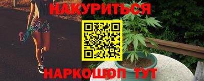 сатива Донской