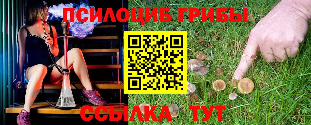 Псилоцибиновые грибы MAGIC MUSHROOMS Мытищи
