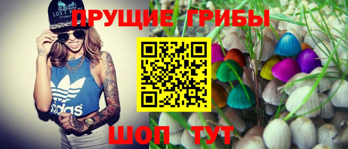 Псилоцибиновые грибы Psilocybe  что такое наркотик  Галлюциногенные грибы MAGIC MUSHROOMS  Мытищи  Вход с VPN 